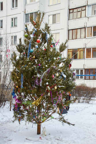 Новогодний праздник двора 2016