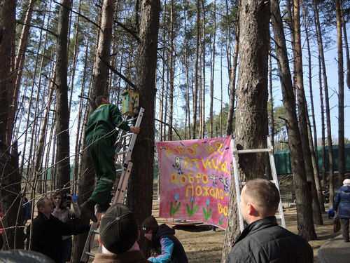 Праздник Город птиц 2019 г.