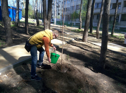 Субботник 29 апреля 2017 г.