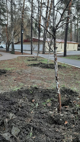 Субботник 17 апреля 2021 г.