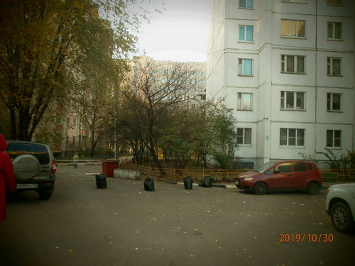 Уборка листьев. Октябрь 2019 г.