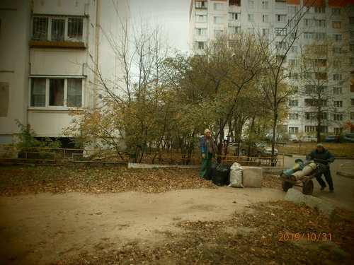Уборка листьев. Октябрь 2019 г.
