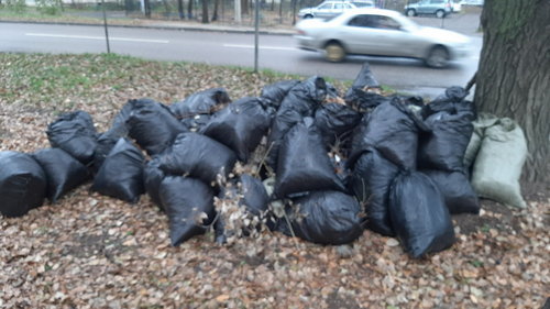 Уборка территории. Ноябрь 2019 г.
