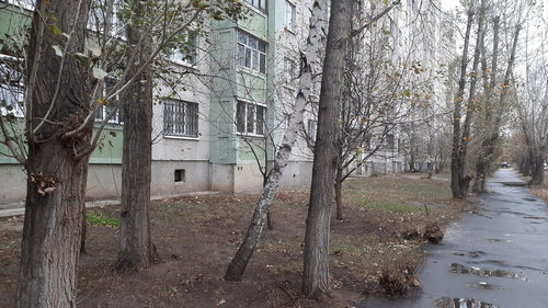 Уборка территории. Ноябрь 2019 г.