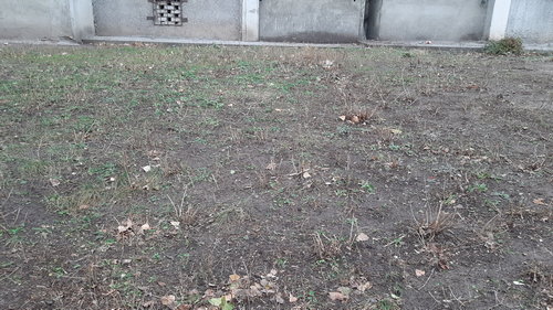 Уборка территории. Ноябрь 2019 г.