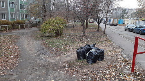 Уборка территории. Ноябрь 2019 г.