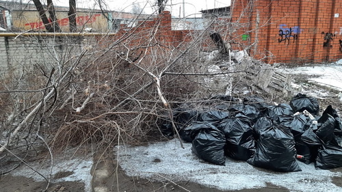 Уборка мусора. Декабрь 2021 г.