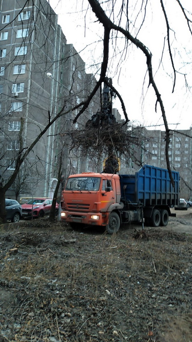 Уборка мусора. Декабрь 2021 г.