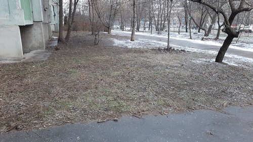 Уборка окурков. Январь 2020.