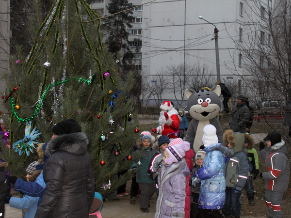 Новый год 2013